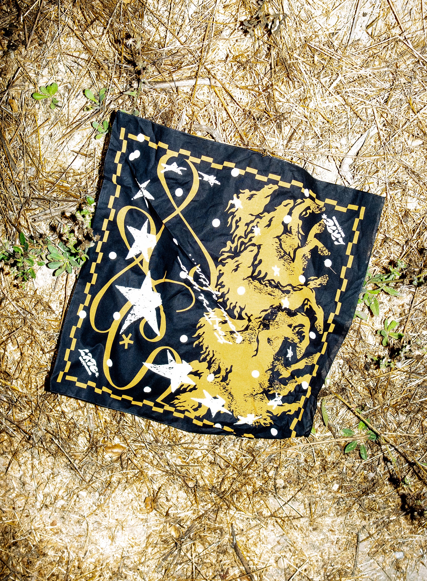 Lodestar Bandana